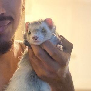 Meet your Posher, Miranda